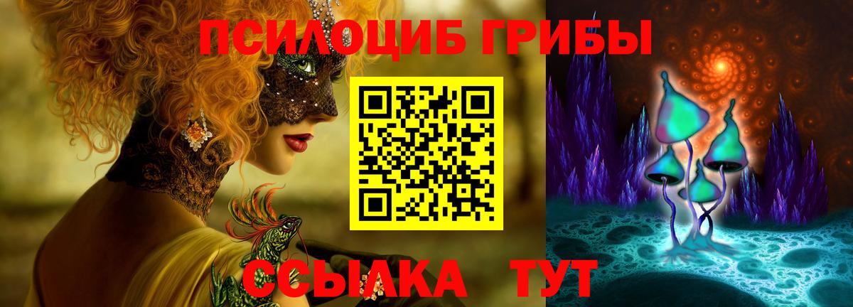 Галлюциногенные грибы Cubensis Ишим